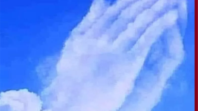 فى ضحى السبت..ربنا ولا تجعل فى قلوبنا غلاً للذين امنوا
