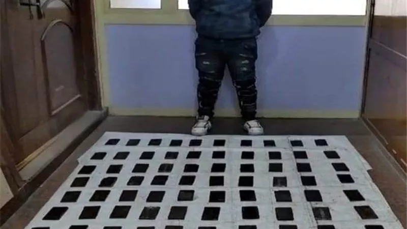 ضبط 255 طربة حشيش بحوزة عنصرين إجراميين بالإسكندرية