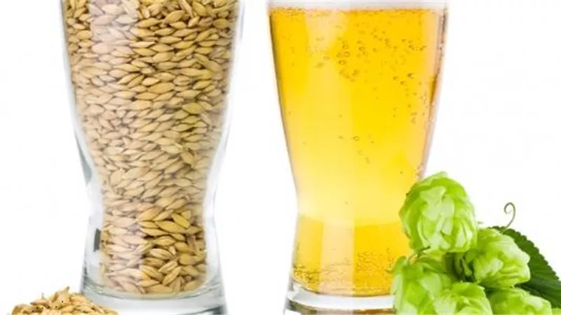 3 فئات عليها الحذر من تناول مشروب الشعير