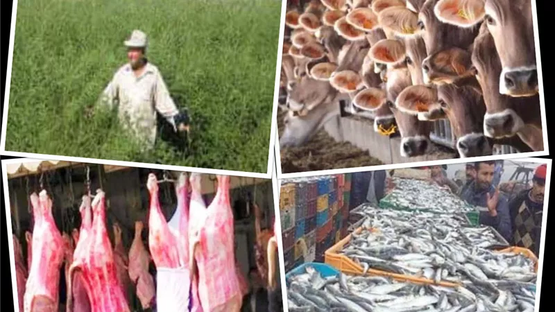 مشروعات زراعية كبري.. لتوفير الأمن الغذائي