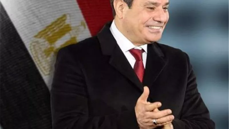 وزير العمل يهنئ الرئيس السيسي بفوزه في الانتخابات الرئاسية