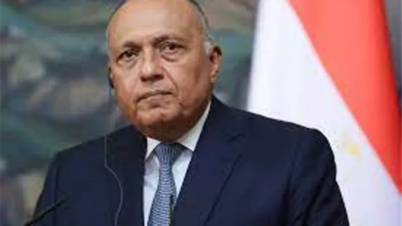 وزير الخارجية يهنئ الرئيس السيسي بفوزه في الانتخابات الرئاسية