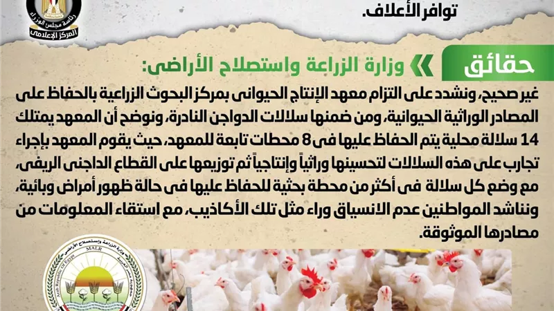 الحكومة تنفى ذبح سلالات الدواجن المصرية النادرة نتيجة عدم توافر الأعلاف