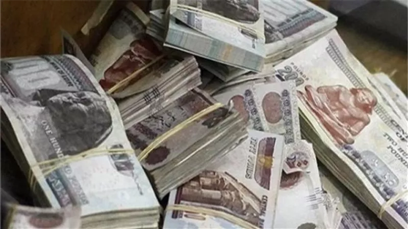 سقوط شخصين لغسلهما 20 مليون جنيه من النصب على المواطنين