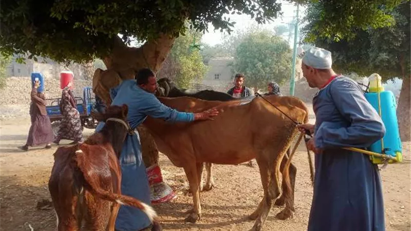 بيطري الجيزة تنظم قافلة علاجية لقرية باجه بالعياط