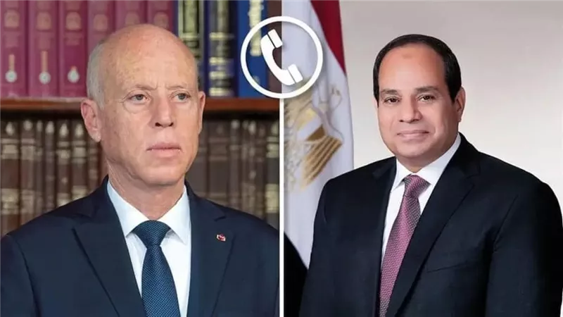 الرئيس السيسي يؤكد حرص مصر على مواصلة التعاون والتشاور مع تونس