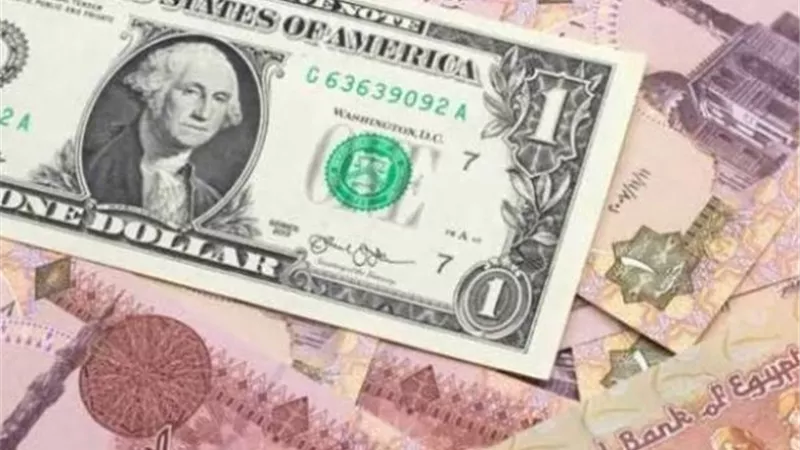 استقرار أسعار صرف الدولار مقابل الجنيه المصري في بداية التعاملات