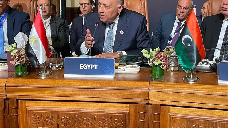 وزير الخارجية يعرب عن اعتزاز مصر بعلاقتها الاستراتيجية مع روسيا