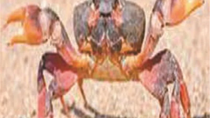 العثور على 