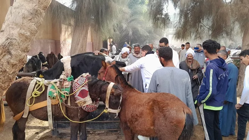 قافلة جامعيه شاملة لقرية 