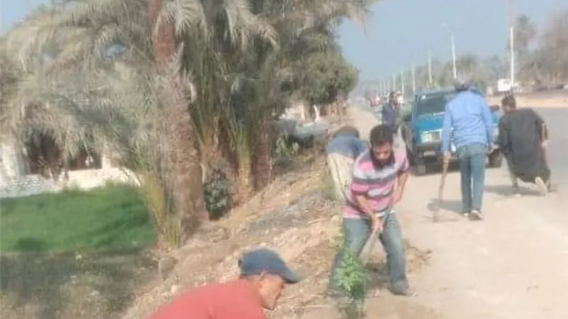 زراعة 133 شجرة مثمرة في مركز مطاي بالمنيا