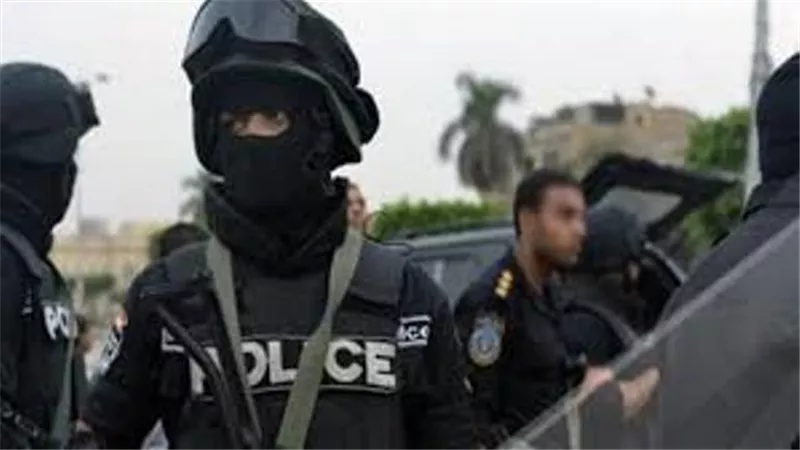 مصرع ٧ عناصر في إستهداف بؤرة إجرامية بالدقهلية