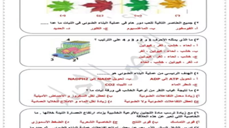 اختبار احياء على الدرس الثاني للبناء الضوئي للصف الثاني الثانوي