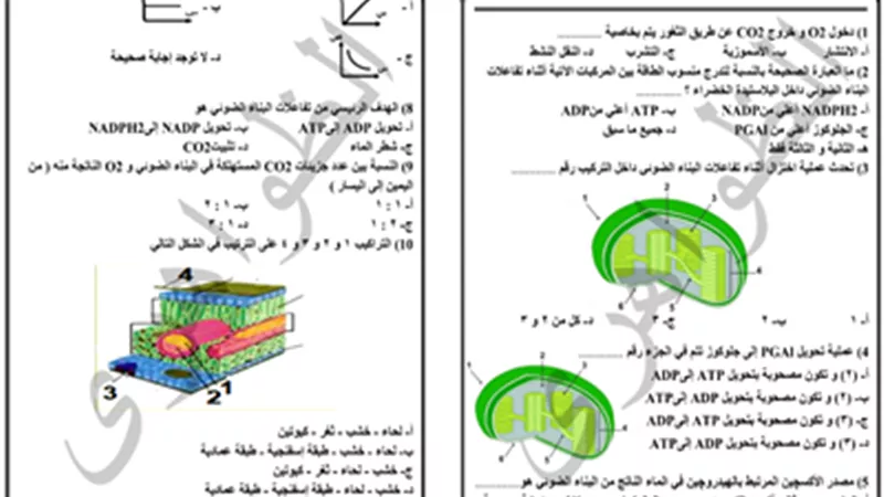 نموذج اختبار على درس التغذية 