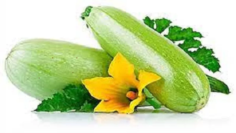 فقدان الوزن ..أبرز فوائد 