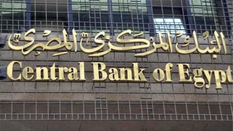 المركزى: طفرة بتمويلات المشروعات متناهية الصغر بأكثر من 78مليون جنيه