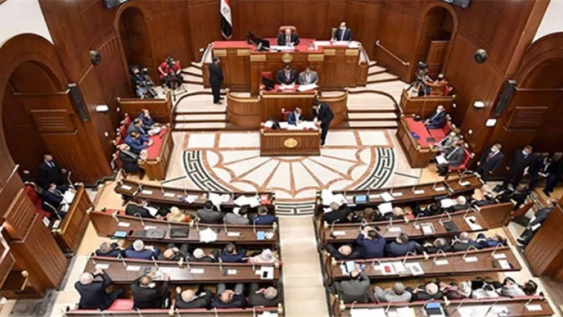 مجلس الشيوخ يرفع جلساته إلى 9 يناير المقبل