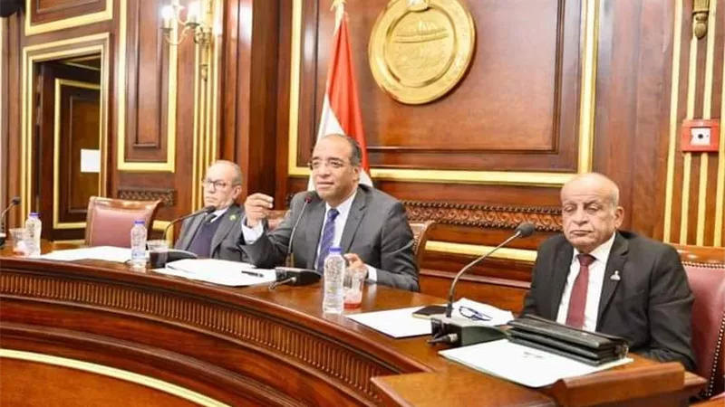وكيل صحة سوهاج يشارك في أعمال لجنة الصحة بمجلس الشيوخ