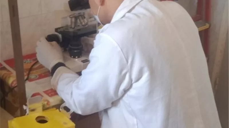الكشف والعلاج ل١٨٢٤ مريضا بقرية قاى باهناسيا