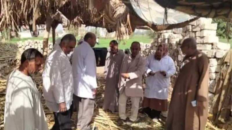 تحصين 370 ألف رأس ماشية بالمنيا للوقاية من مرض الحمى القلاعية