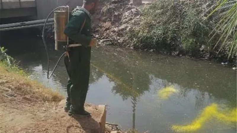 مديرية الصحة بالمنيا ترصد مسببات الأمراض ومكافحة الحشرات