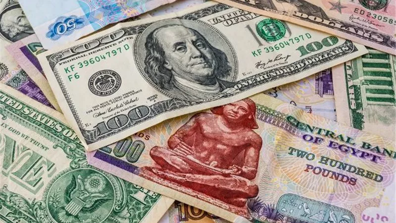 استقرار أسعار صرف الدولار مقابل الجنيه.. وارتفاع اليورو والإسترليني