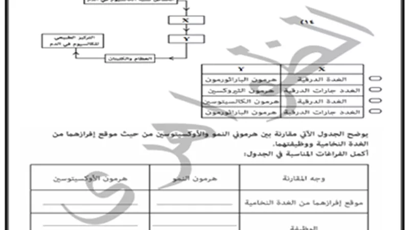 مراجعة نهائية على درس الهرمونات للصف الثالث الثانوي