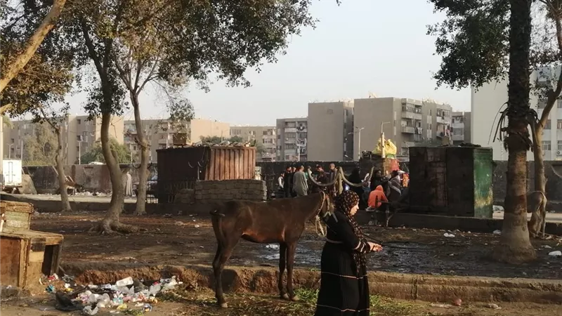 اهالي منقطة الشيخ الاربعين باسيوط ينتقدون اهمال الحديقة