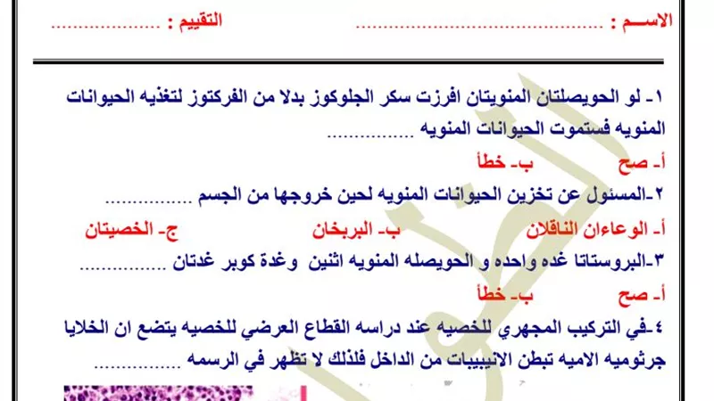 ابرز نقاط درس التكاثر فى البيولوجيا للثانوية العامة