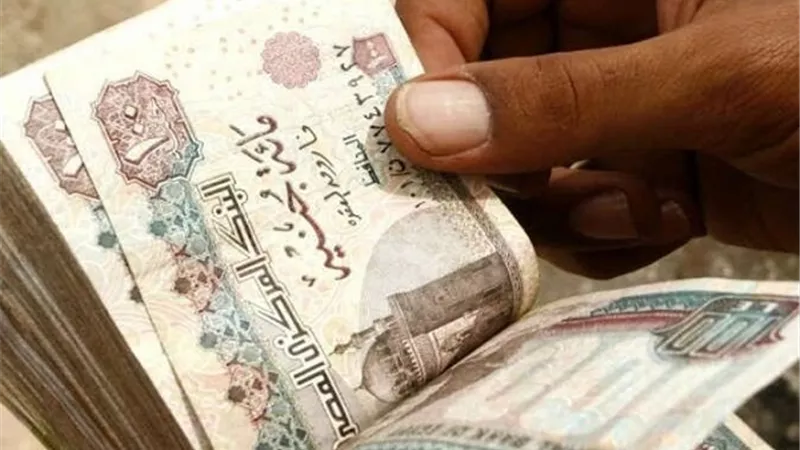 500 جنيه زيادة فى الرواتب لـ 25 مليون موظف.. المجلس القومي للأجور