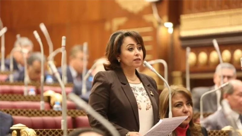 أمين ثقافة الشيوخ: القمة العربية الإسلامية ضغط دبلوماسي لإيقاف جرائم الاحتلال