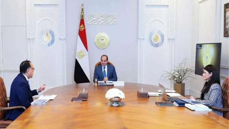 السيسى يوجه بمواصلة تعزيز أطر التعاون الدولى فى المشروعات التنموي