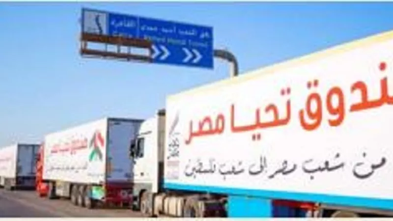 جهود مصرية لا تتوقف لدعم الفلسطينيين