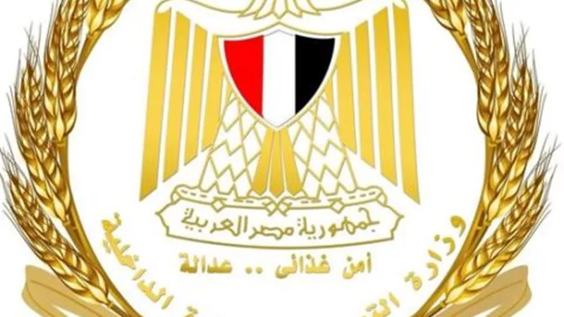 أهم مشروعات وإنجازات 