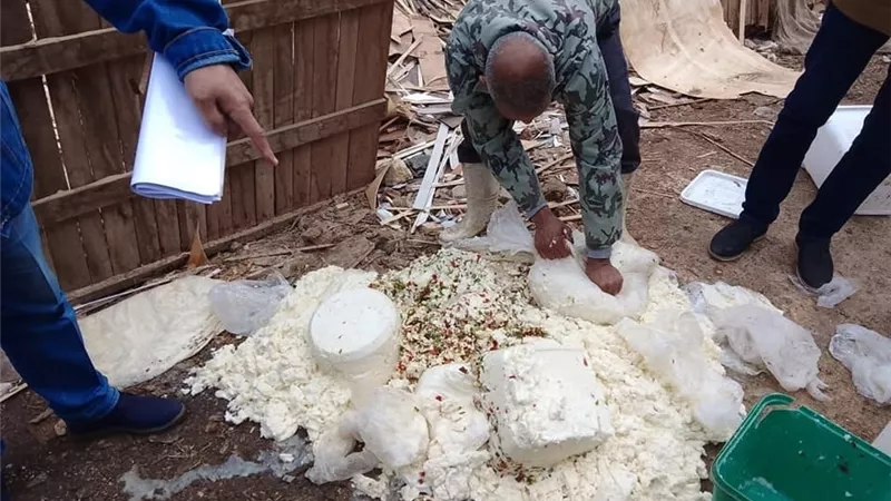 ضبط وإعدام ٩٠٧ أطنان أغذية وغلق ٤ آلاف منشأة غذائية بالشرقية