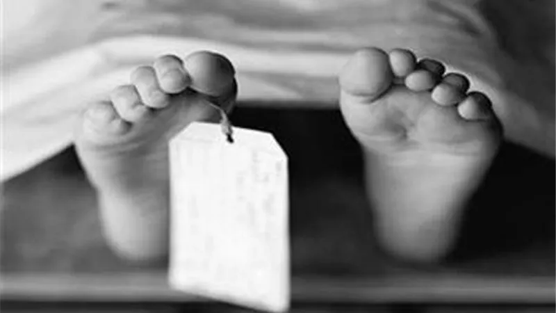 وفاة ربة منزل بعد تناولها وجبة سمك اعدتها بنفسها
