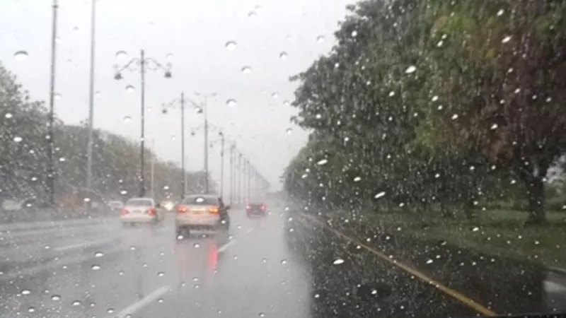 الأرصاد: شبورة وأمطار بعدة مناطق والصغرى بالقاهرة 13 درجة