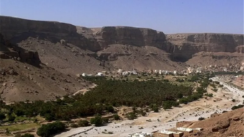 العثور على 3 مومياوات ..أول كشف أثري بـ حضر موت