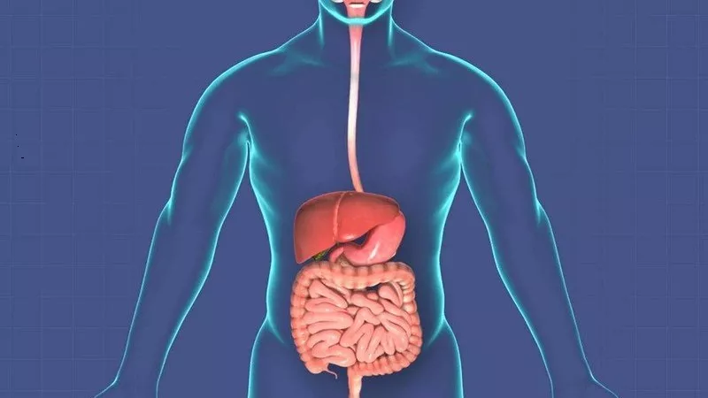 7 خطوات للعناية بالجهاز الهضمي..تعرف عليها