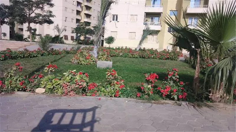 جهاز مدينة بدر يعلن تفاصيل أحدث أعمال الزراعة فى الأحياء بالصور