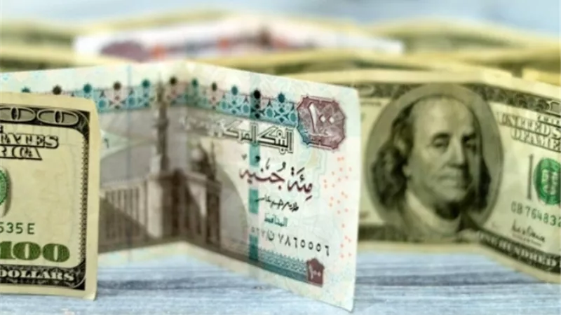 استقرار أسعار صرف الدولار مقابل الجنيه المصري.. وتراجع اليورو