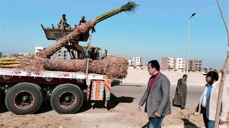 رئيس جهاز مدينة طيبة الجديدة يكشف عن أحدث مشروعات الزراعة.. صور