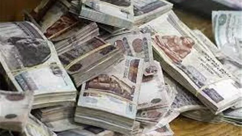 500 مليار جنيه أموال شهادات الـ 25% .. أين تذهب ؟! .. الخبراء يجيبون