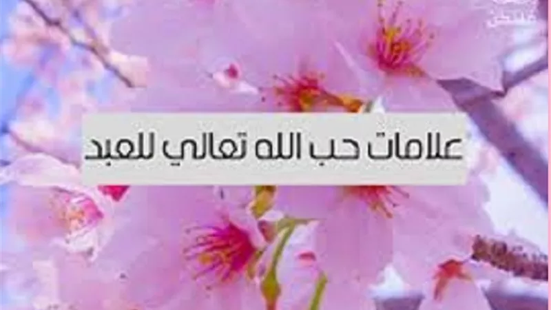 فضل تحصيل محبة الله للعبد فى الدنيا وعلاماته فى سطور