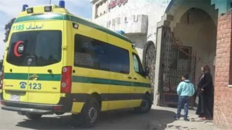 أصيب 9 اشخاص في محافظة الدقهلية اثر حادث تصادم بين سيارة ملاكي