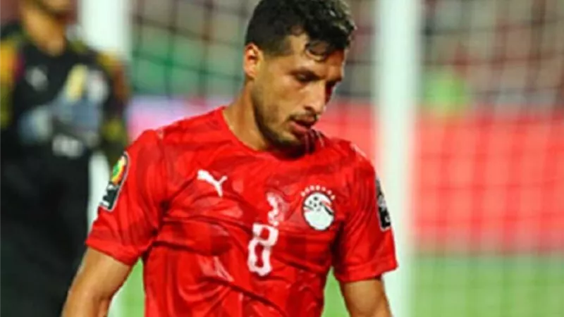 طارق حامد