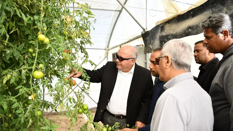 محافظ قنا يتفقد عددا من مشروعات الأمن الغذائي بالمعنا