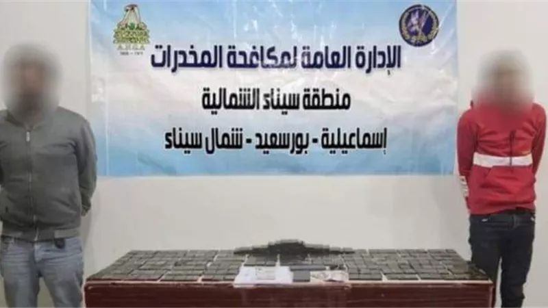 .ضبط 3 عناصر إجرامية من تجار الصنف بالاسماعيلية