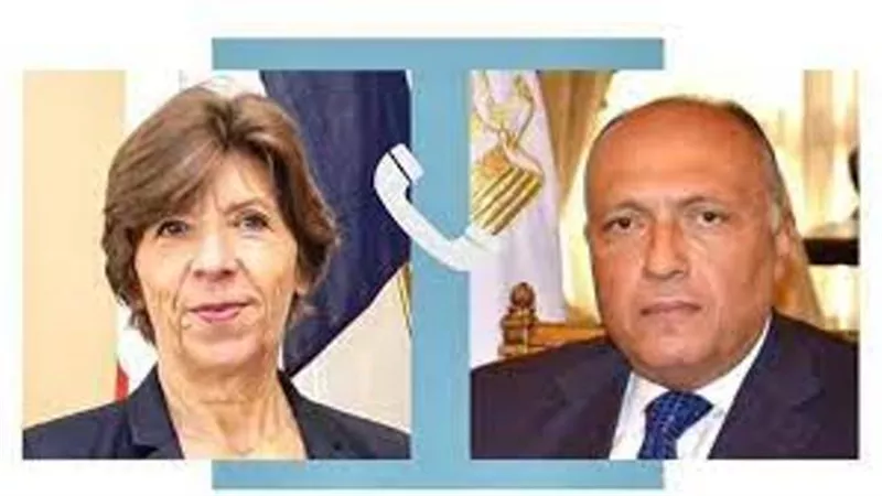 شكري يؤكد لنظيرته الفرنسية رفض مصر مغادرةالفلسطينيين خارج أراضيهم