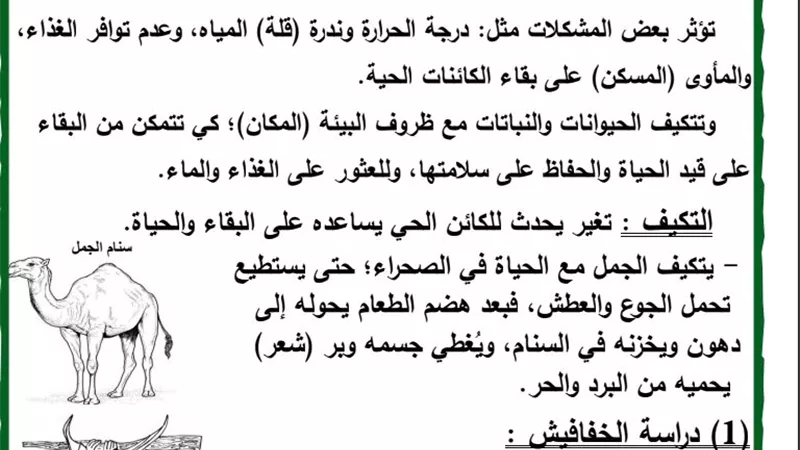 ابرز مذكرة علوم ترم أول لن يخرج عنها امتحان رابعة ابتدائي